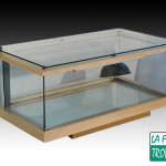 table basse terrarium