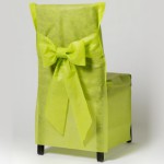 housse de chaise vert anis pas cher