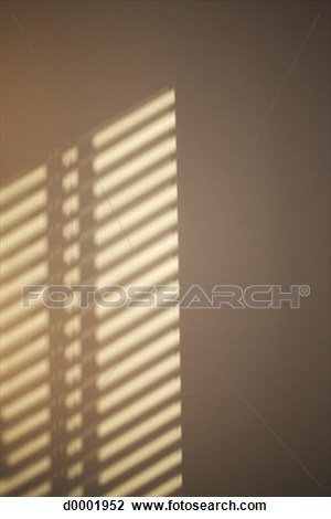 store venitien grand format