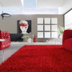 tapis salon coton