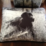 coussin chien