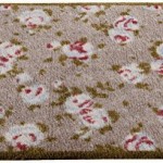 paillasson incidence