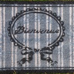 paillasson ultra fin