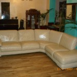 canapé cuir occasion