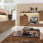 meuble salon contemporain bois