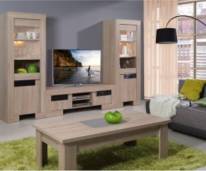 meuble salon en bois