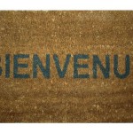 paillasson castorama