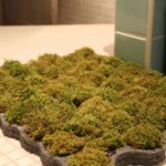 tapis salle de bain forme galet