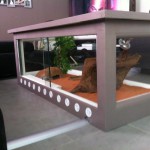 table basse terrarium