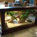 table basse terrarium