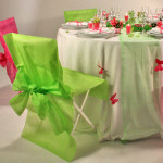 housse de chaise vert anis