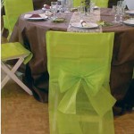 housse de chaise vert anis