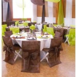 housse de chaise vert anis