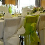 housse de chaise vert anis