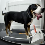 lit deux places new york