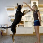 lit deux places new york