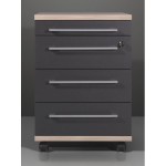 caisson de bureau fly