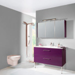 meuble salle de bain hygena