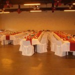 housse de chaise coque