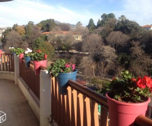 chaises de cuisine nice