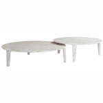 table basse salon roche bobois