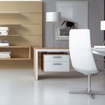 armoire de bureau haut de gamme