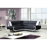 canape d'angle 250 x 250