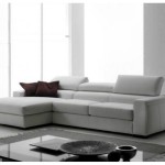 canape d'angle 250 x 250