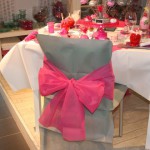 housse de chaise fete