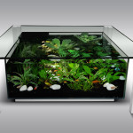 table basse aquarium