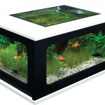 table basse aquarium