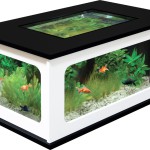 table basse aquarium