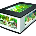 table basse aquarium