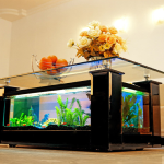 table basse aquarium