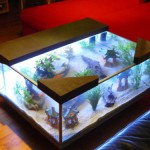 table basse aquarium