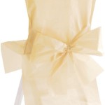 housse de chaise ivoire pas cher