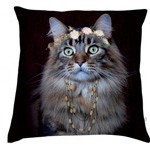 coussin deco chat