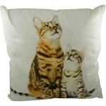 coussin deco chat