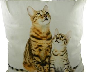 coussin deco chat