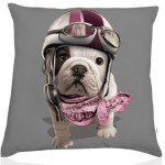 coussin deco chien