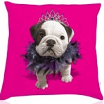 coussin deco fushia