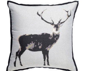 coussin nature deco