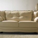 canapé cuir salon