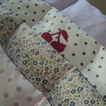 coussin noyaux de cerises