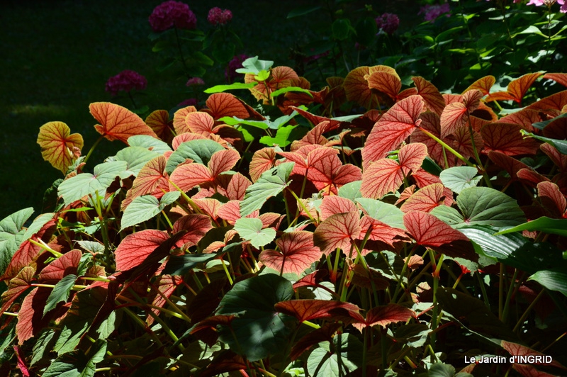 paillasson le paradis c'est ici