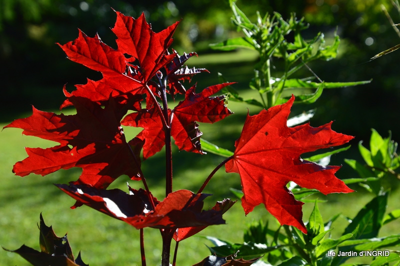 paillasson le paradis c'est ici