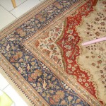 tapis salon occasion