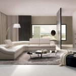 tapis salon poil long