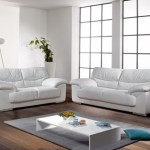 canapé cuir noir et blanc