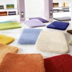 tapis salle de bain demi lune